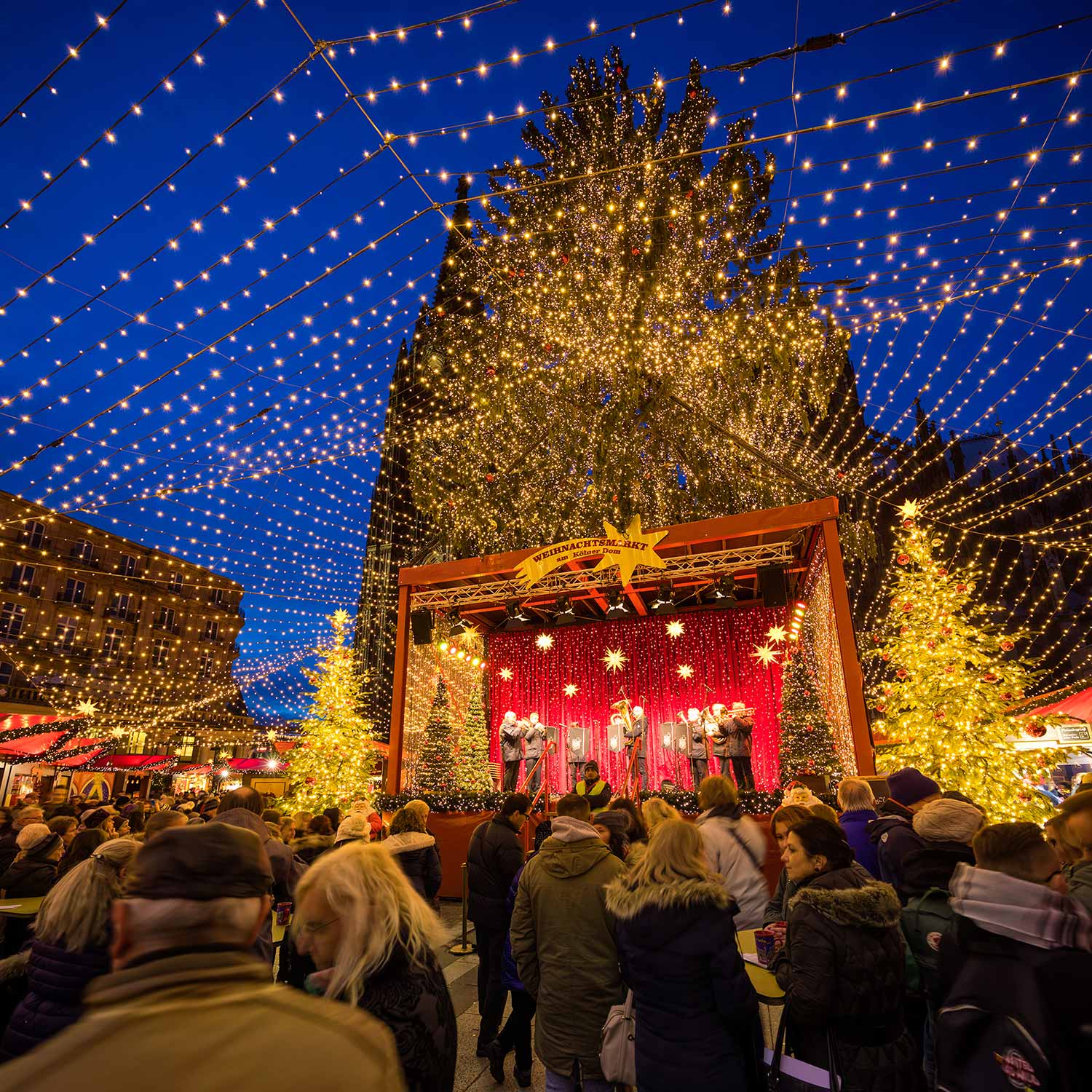 The Christmas Markets