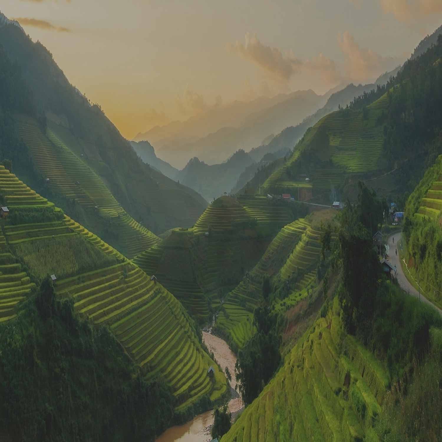 Asia & the Far East