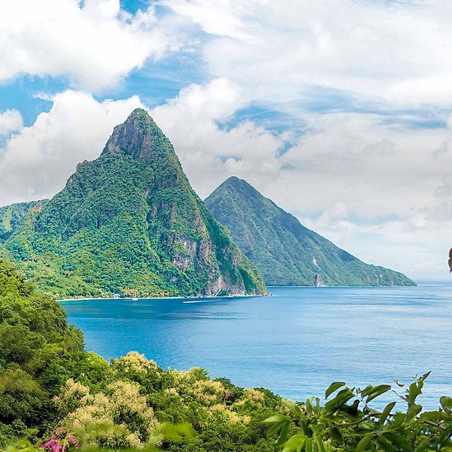 The Caribbean
