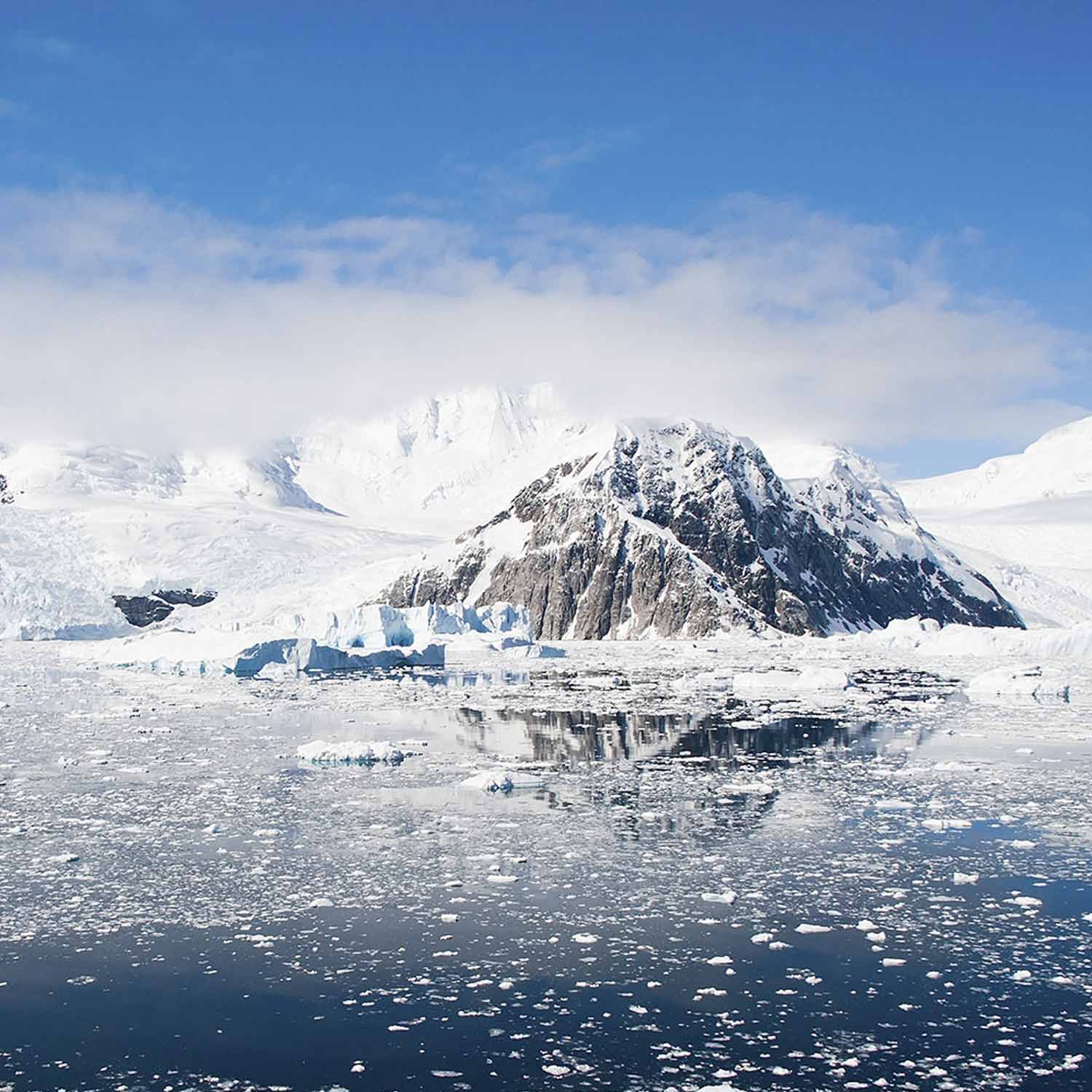 The Arctic & Fjords
