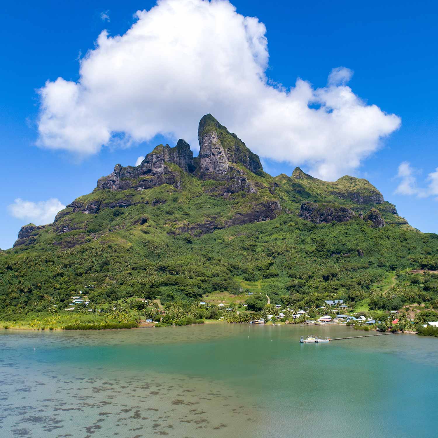 The South Pacific