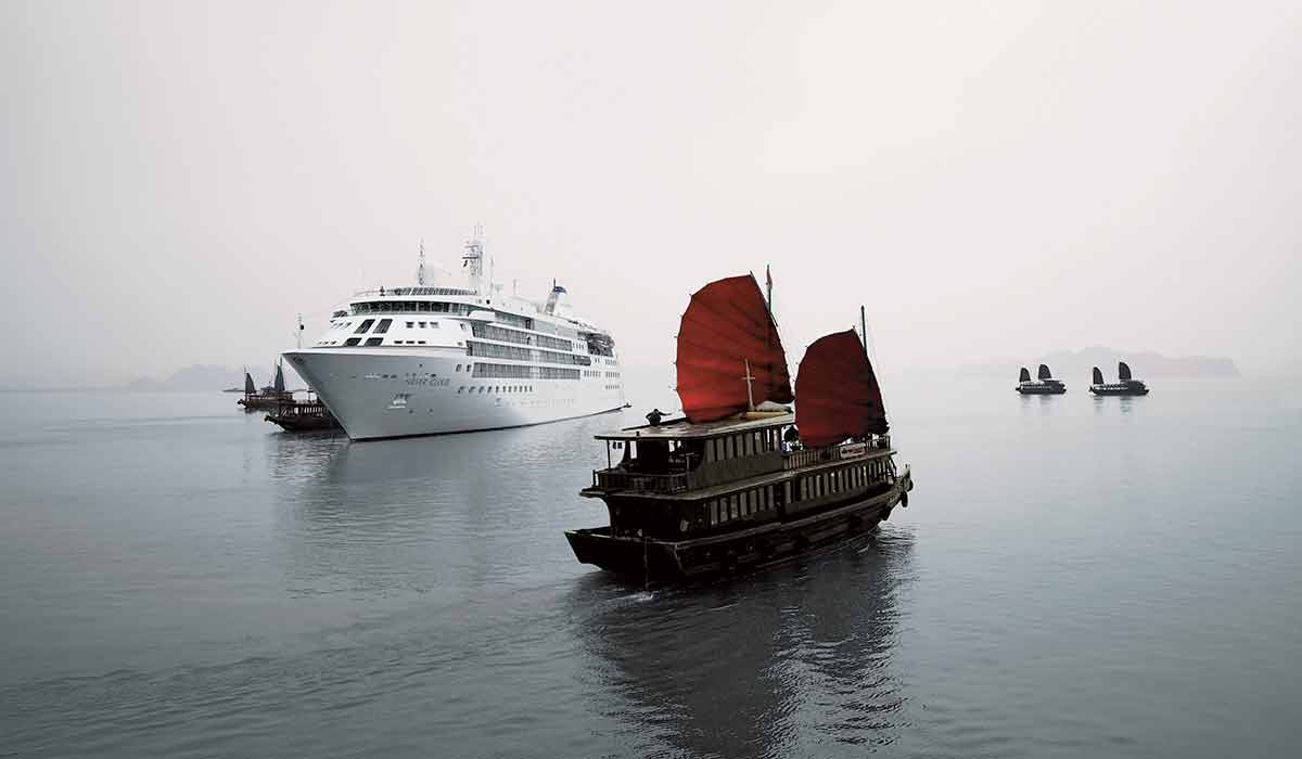 Vietnam & Asia
