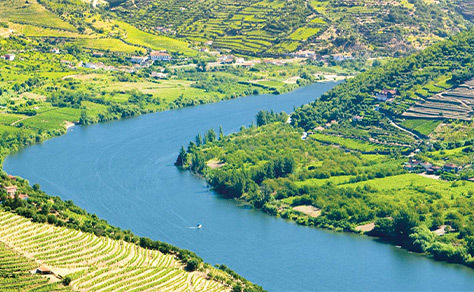 The Douro